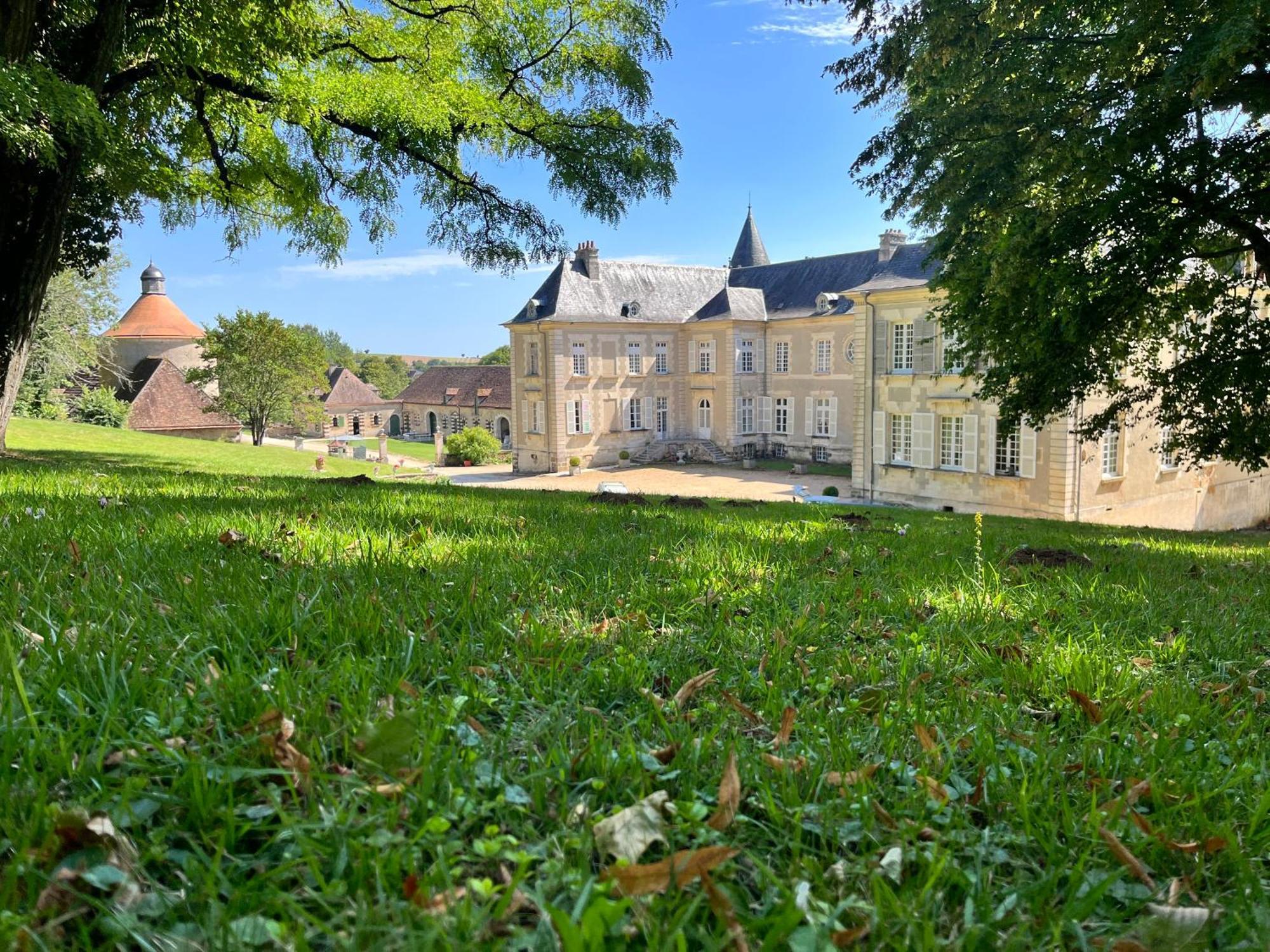 Chateau De Beaujeu Sens-Beaujeu Eksteriør billede