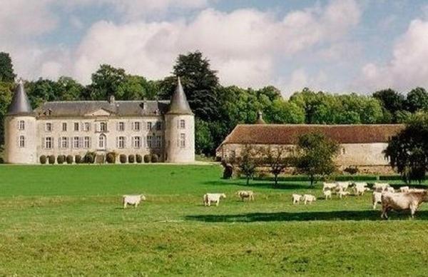 Chateau De Beaujeu Sens-Beaujeu Eksteriør billede