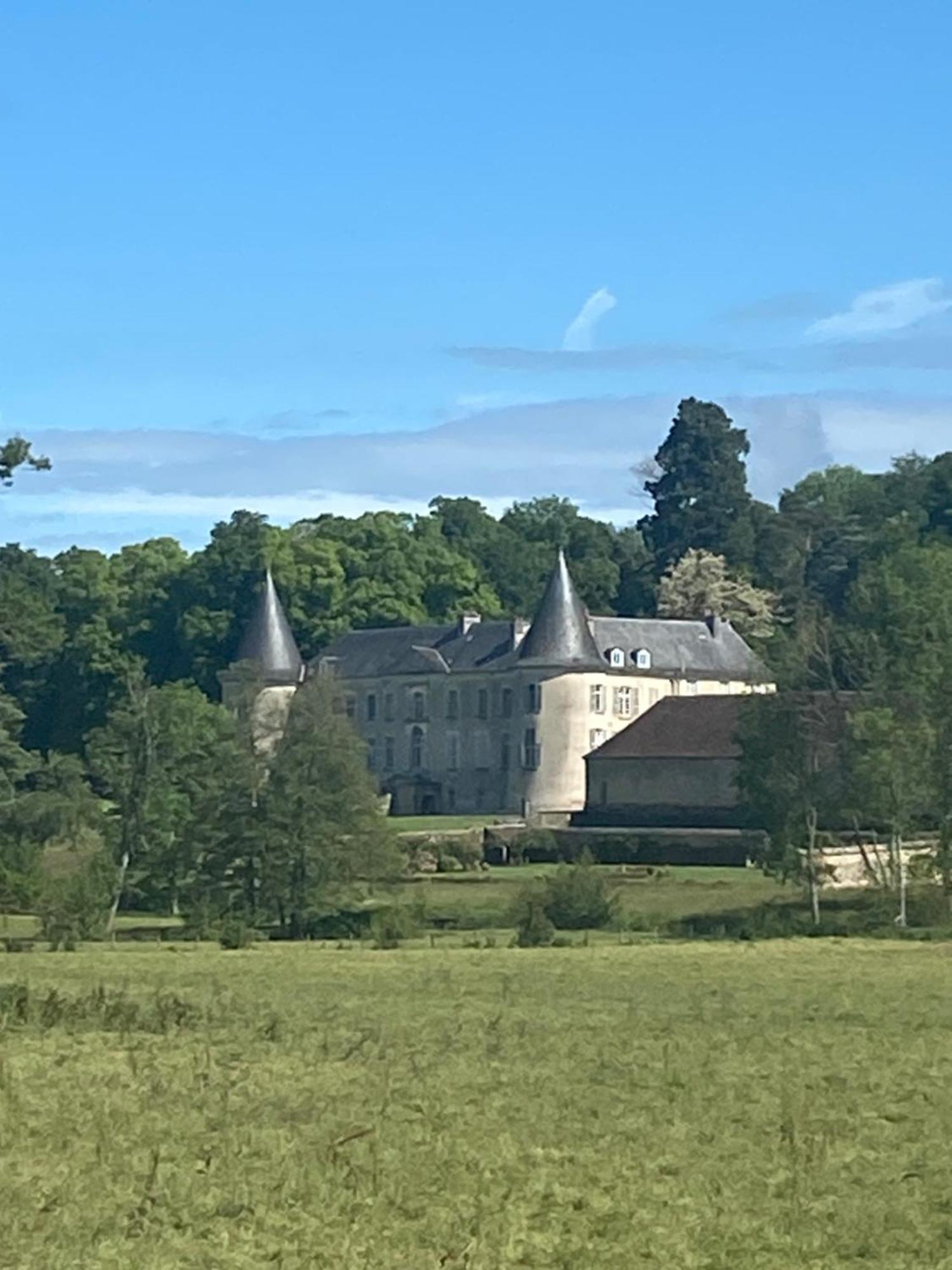 Chateau De Beaujeu Sens-Beaujeu Eksteriør billede